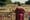 Was »Saltburn« und Victoria Beckham gemeinsam haben